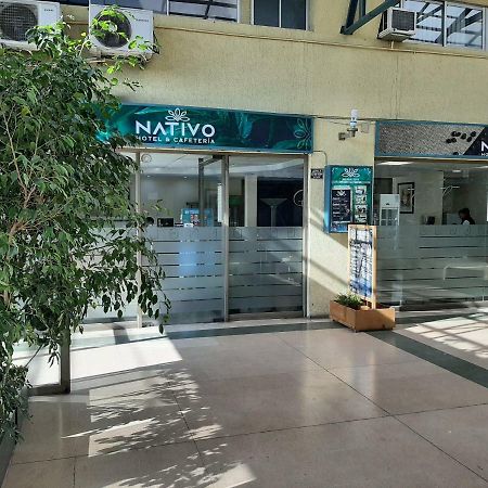 Nativo Hotel Y Cafeteria 塔尔卡 外观 照片