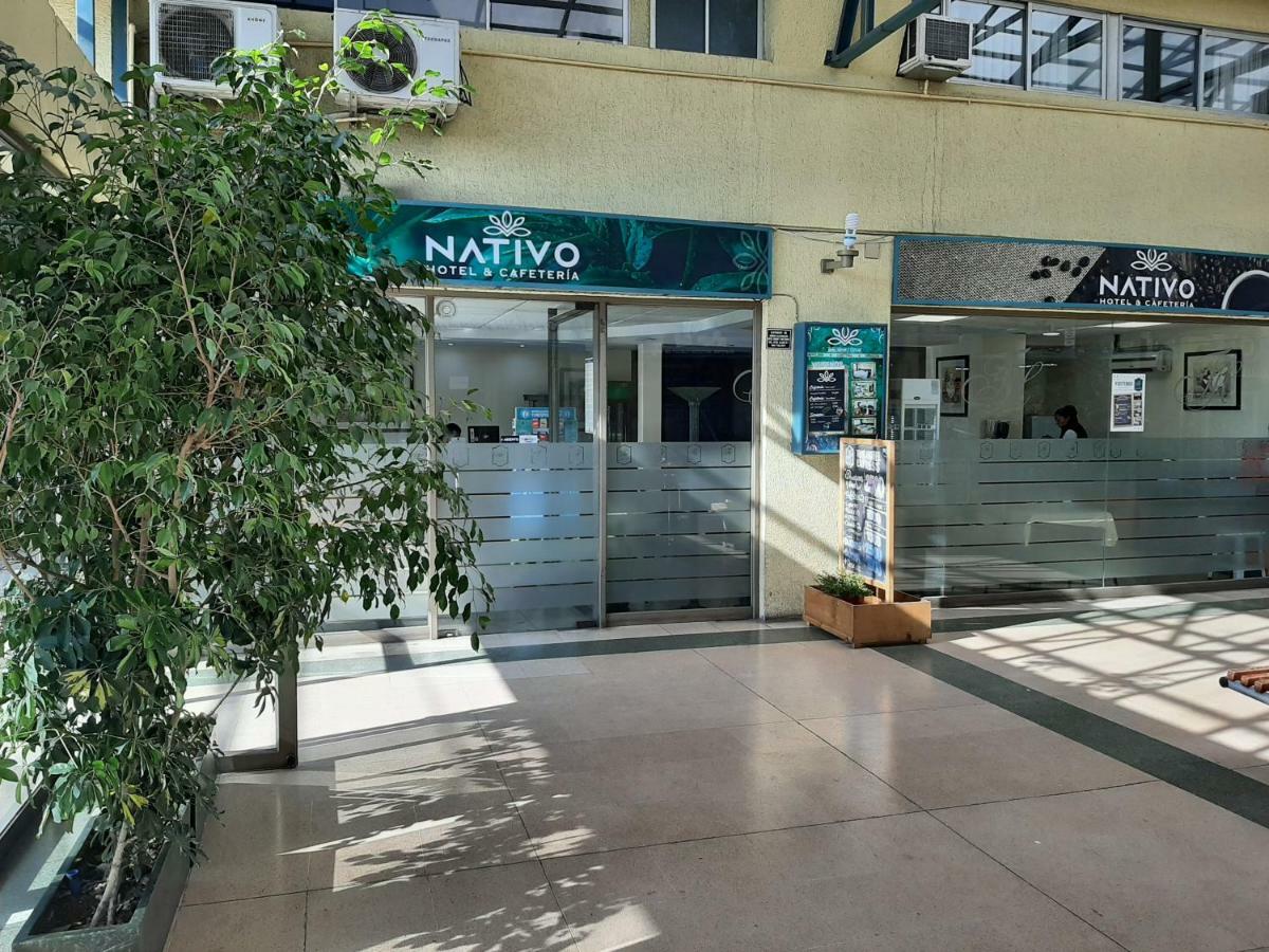 Nativo Hotel Y Cafeteria 塔尔卡 外观 照片