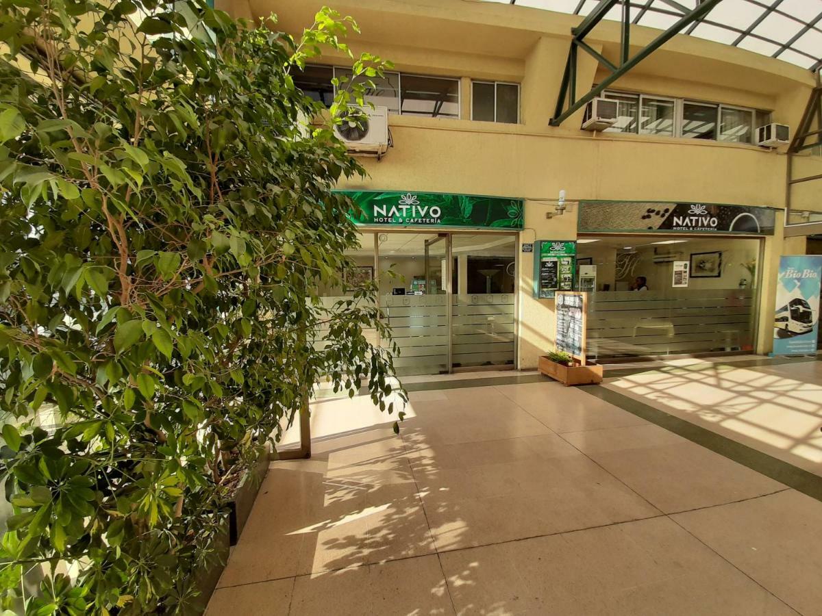 Nativo Hotel Y Cafeteria 塔尔卡 外观 照片