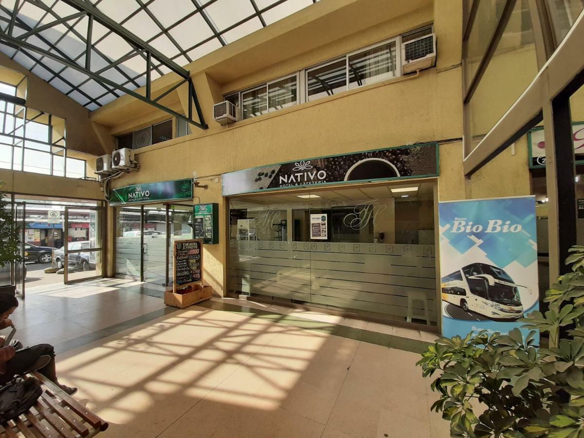 Nativo Hotel Y Cafeteria 塔尔卡 外观 照片