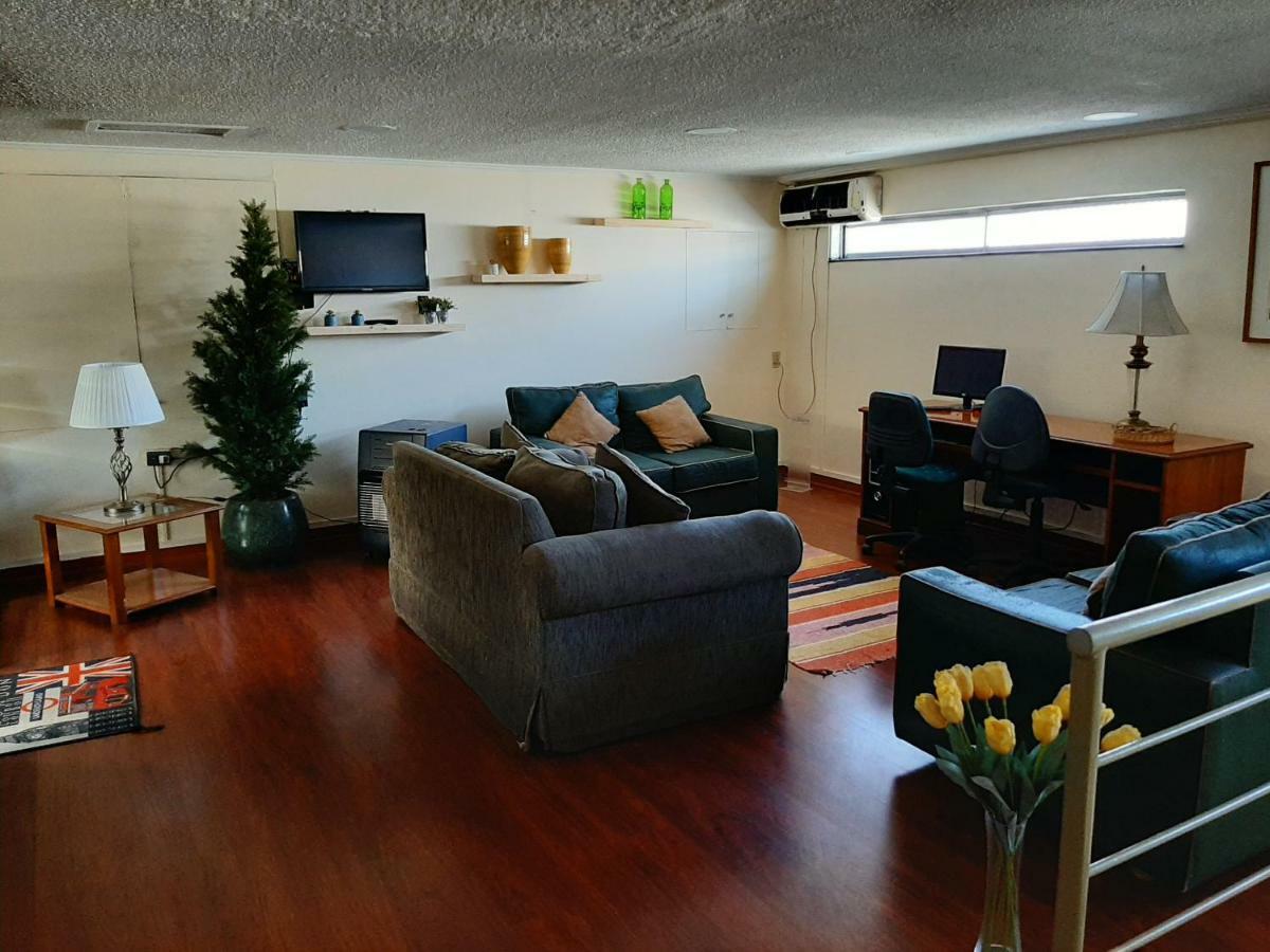 Nativo Hotel Y Cafeteria 塔尔卡 外观 照片