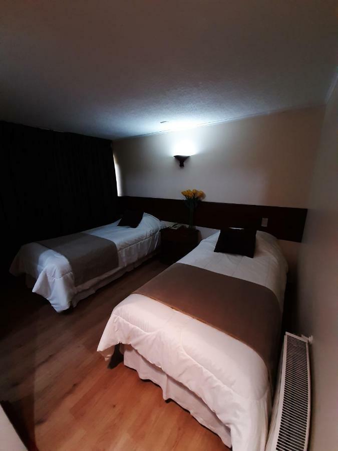 Nativo Hotel Y Cafeteria 塔尔卡 外观 照片